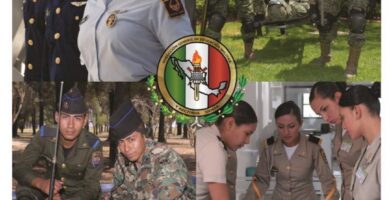 Inscripción Al Heroico Colegio Militar: Requisitos, Fechas Y Paso A Paso