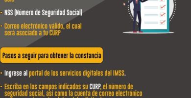 Inscripción Al IMSS En Línea: Guía Rápida De Afiliación