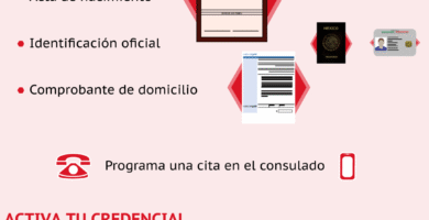 Inscripción Al INE: Requisitos, Trámites Y Pasos