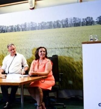 Inscripción Al Registro De Apoyo A Mujeres: Programas Y Becas Para La Grandeza