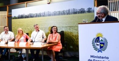 Inscripción Al Registro De Apoyo A Mujeres: Programas Y Becas Para La Grandeza