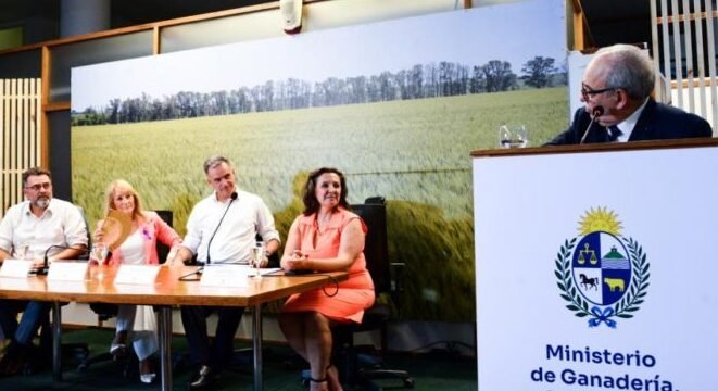 Inscripción Al Registro De Apoyo A Mujeres: Programas Y Becas Para La Grandeza