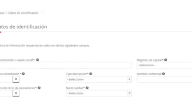Inscripción Al RFC Y Constancia Del RFC: Guía Con Ejemplo