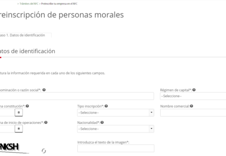 Inscripción Al RFC Y Constancia Del RFC: Guía Con Ejemplo