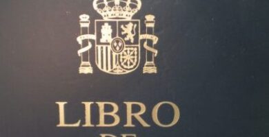 Inscripción De Matrimonio En El Registro Civil: Requisitos Y Trámites