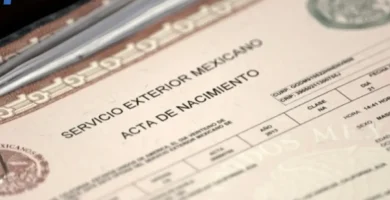 Inscripción De Nacimiento En El Registro Civil: Guía Y Requisitos