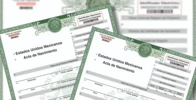 Inscripción De Nacimiento: Requisitos, Trámites Y Acta De Nacimiento
