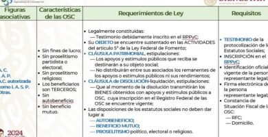 Inscripción De Organizaciones En Coahuila: Guía, Requisitos Y Pasos