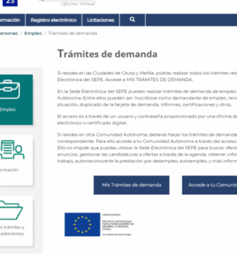 Inscripción De Periodos Como Demandante De Empleo: Guía Completa