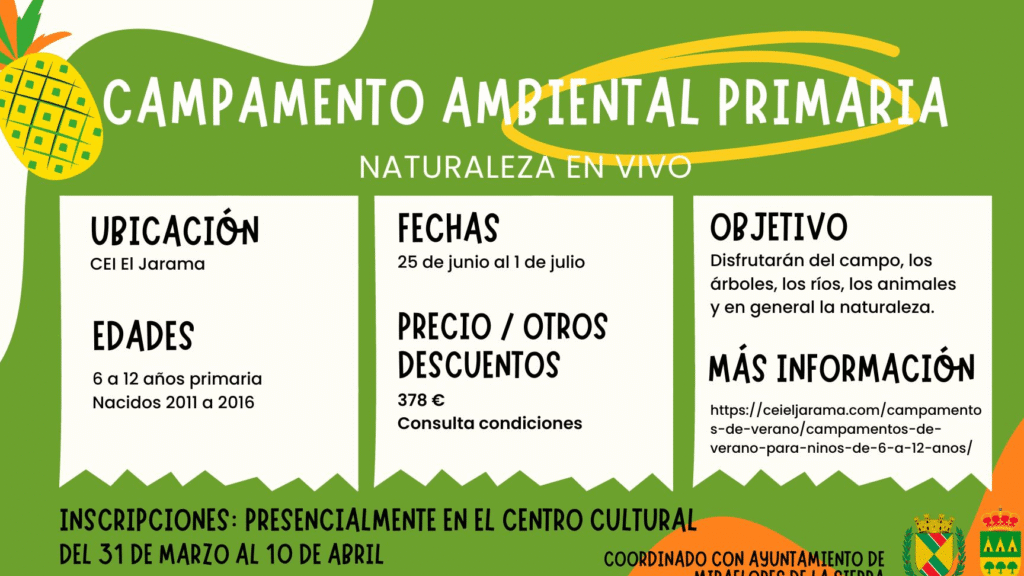 Inscripción De Verano Para Jóvenes: Cursos, Campamentos Y Becas