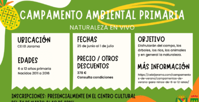 Inscripción De Verano Para Jóvenes: Cursos, Campamentos Y Becas