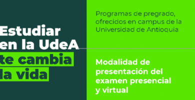 Inscripción Del Número De Constancia NCI: Guía Paso A Paso