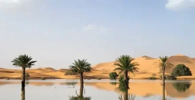 Inscripción Desértica: Qué Es, Ejemplos Y Significado