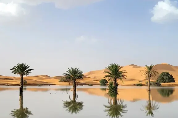 Inscripción Desértica: Qué Es, Ejemplos Y Significado