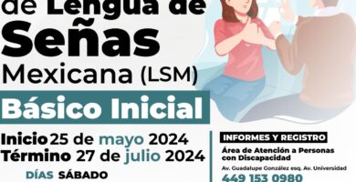 Inscripción En Academia De Lengua De Señas Mexicana: Cursos LSM