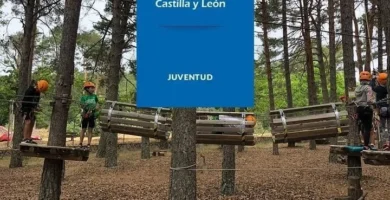 Inscripción En Campamentos Junta De Castilla Y León: Plazos Y Requisitos