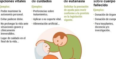 Inscripción En El Portal De Anticipadas: Guía Paso A Paso