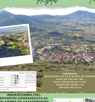 Inscripción En Escuelas Deportivas Municipales: Guía Y Pasos