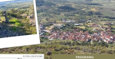 Inscripción En Escuelas Deportivas Municipales: Guía Y Pasos