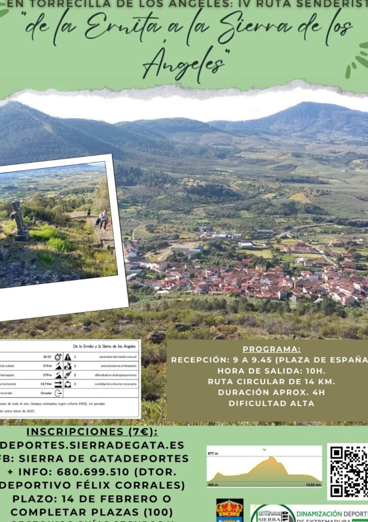 Inscripción En Escuelas Deportivas Municipales: Guía Y Pasos