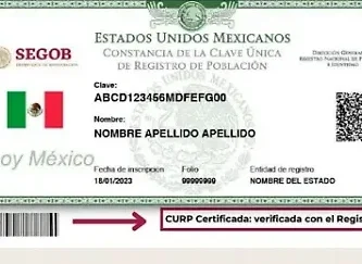 Inscripción En Hidalgo: Requisitos Y Trámites Para Registrarte