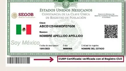 Inscripción En Hidalgo: Requisitos Y Trámites Para Registrarte