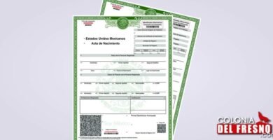 Inscripción En Jalisco: Requisitos, Pasos Y Fechas De Registro