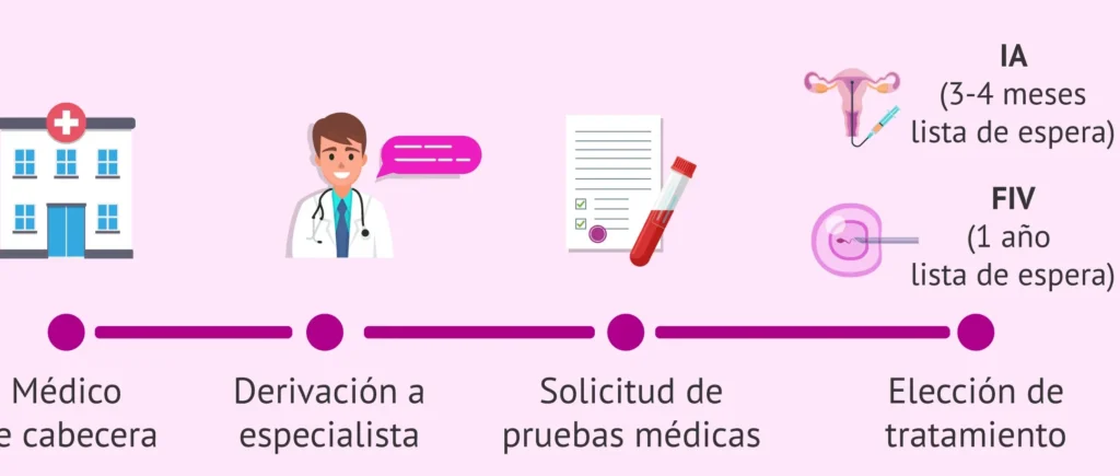 Inscripción En La Seguridad Social: Guía Paso A Paso