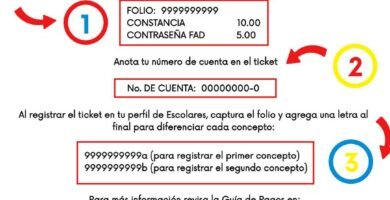 Inscripción En La UNAM: Cuánto Cuesta Y Cómo Pagar