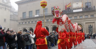 Inscripción En La Universidad De Zaragoza: Requisitos Y Plazos De Matrícula