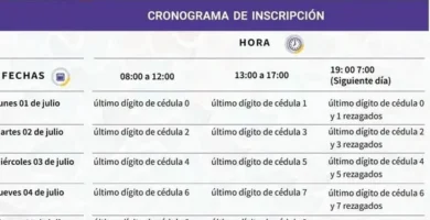 Inscripción En La Universidad: Guía Completa De Requisitos, Documentos Y Fechas