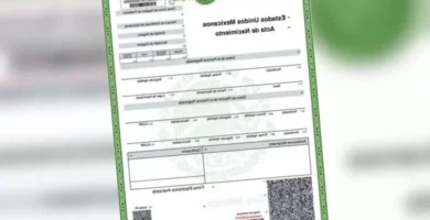 Inscripción En Puebla: Guía Rápida De Requisitos, Pasos Y Fechas