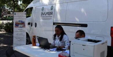 Inscripción En REPUVE Y Obtención De La Constancia: Guía Práctica