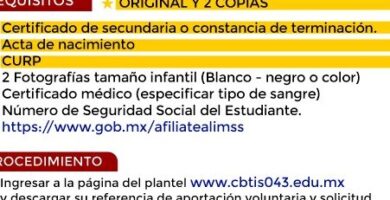 Inscripción En Secundaria: Requisitos, Fechas Y Pasos