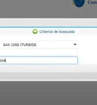 Inscripción En Seg.guanajuato.gob.mx Para RUA: Pasos Y Trámites