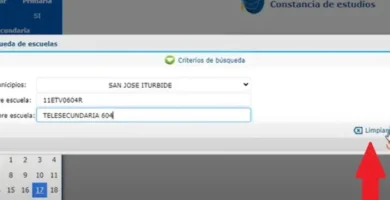 Inscripción En Seg.guanajuato.gob.mx Para RUA: Pasos Y Trámites