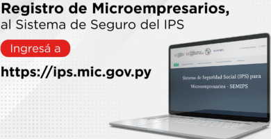 Inscripción En Seppue.gob: Requisitos, Trámites Y Guía Rápida