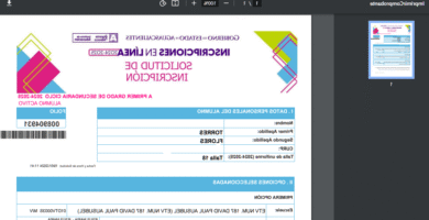 Inscripción IEA: Requisitos, Plazos Y Guía Completa
