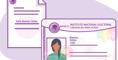 Inscripción INE: Qué Es Y Cómo Inscribirte