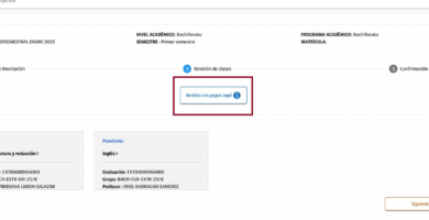 Inscripción La Salle: Fechas Y Requisitos De Matrícula