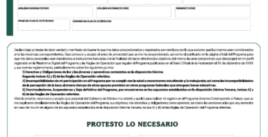Inscripción Para Jóvenes Construyendo El Futuro: Guía Y Convocatoria