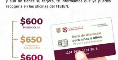 Inscripción Preescolar En Tijuana: Requisitos, Fechas Y Pasos