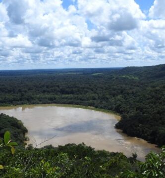 Inscripción San Silvestre La Laguna: Fechas, Precio Y Cómo Registrarse
