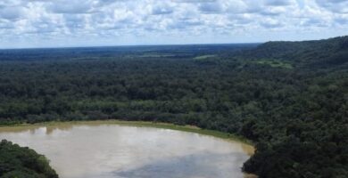 Inscripción San Silvestre La Laguna: Fechas, Precio Y Cómo Registrarse