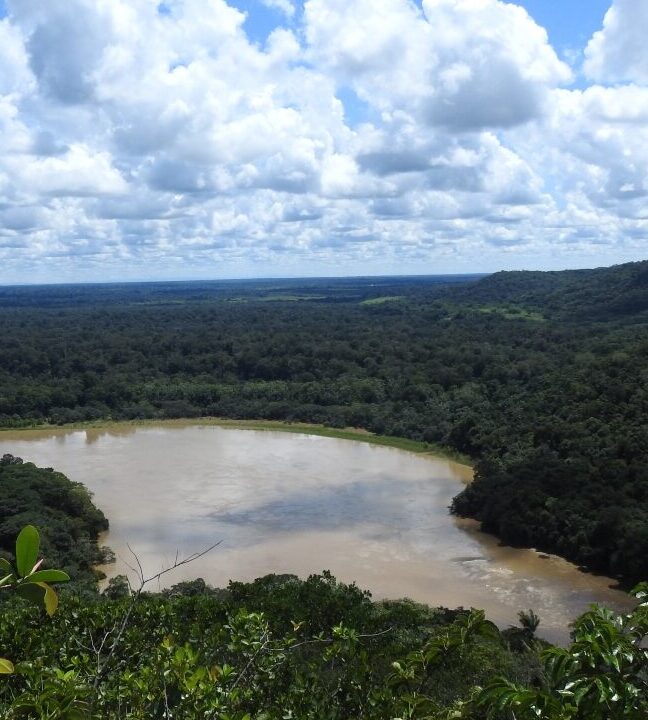 Inscripción San Silvestre La Laguna: Fechas, Precio Y Cómo Registrarse