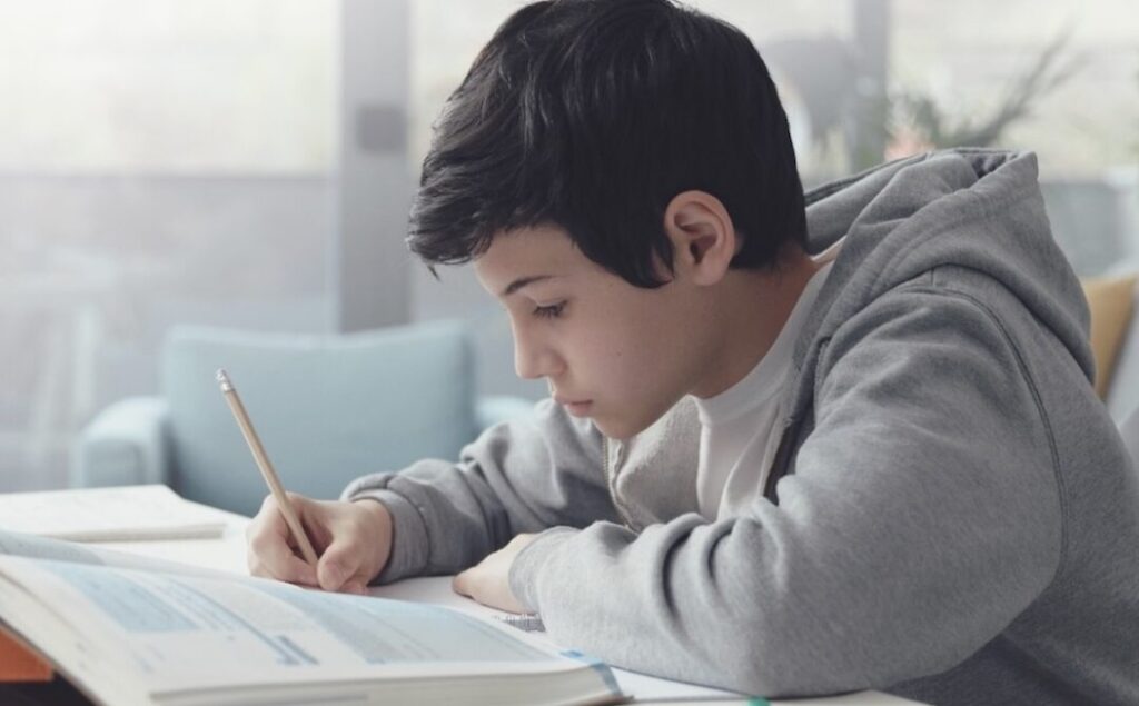 Inscripción SEG Guanajuato En Guanajuato.gob.mx RUA: Guía Rápida