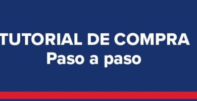 Inscripción Tecmilenio Prepa: Requisitos, Fechas Y Pasos