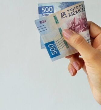 Inscripción UES: Guía Completa De Requisitos, Pasos Y Fechas