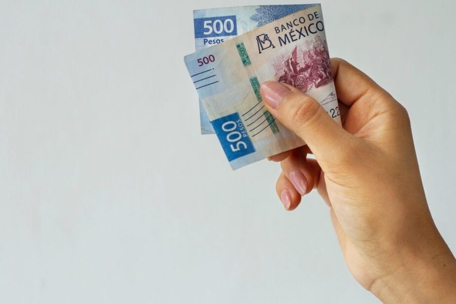 Inscripción UES: Guía Completa De Requisitos, Pasos Y Fechas