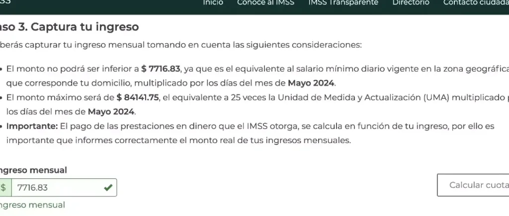 Inscripción Voluntaria IMSS: Requisitos, Beneficios Y Cómo Hacerlo